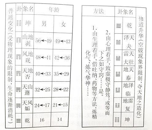 道家生命变化图