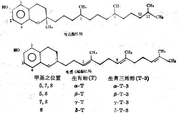 8种自然界的维生素E的构造 