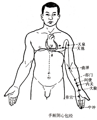 手厥阴心包经.jpg